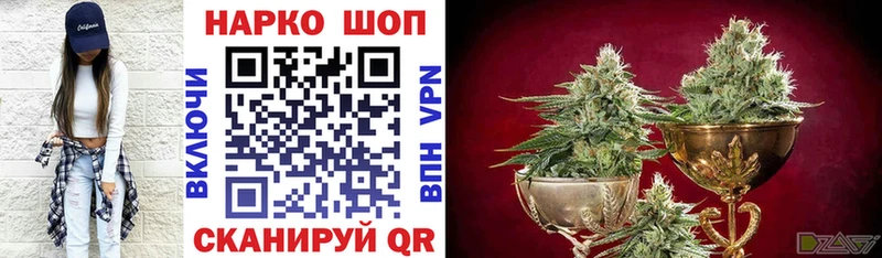 Виды наркотиков купить Новый Уренгой Метадон  Галлюциногенные грибы  Гашиш  Меф  МАРИХУАНА 
