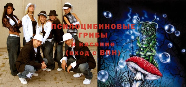 соль ск Алексеевка