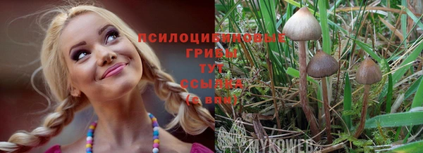 тгк Алзамай