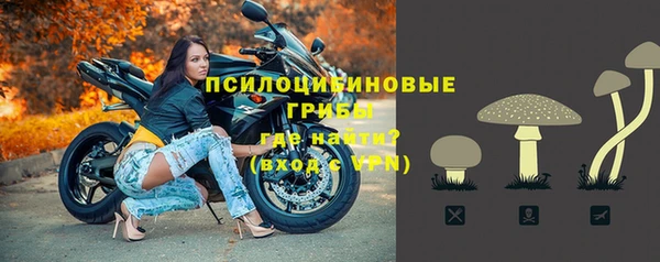 соль ск Алексеевка