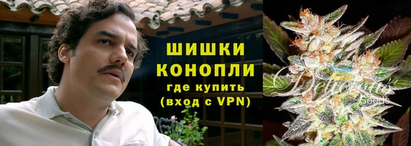 ешки Алексин