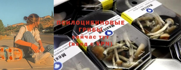тгк Алзамай