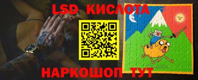 ПСИЛОЦИБИНОВЫЕ ГРИБЫ Гатчина