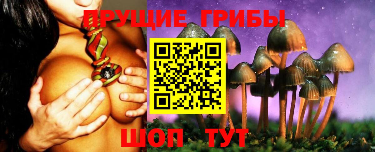 Псилоцибиновые грибы ЛСД Новый Уренгой