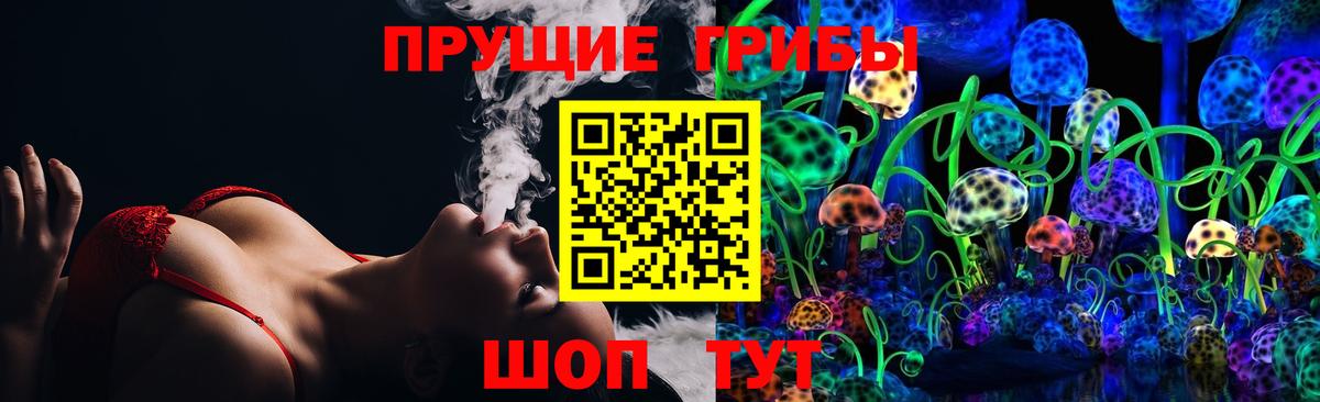 Псилоцибиновые грибы GOLDEN TEACHER  Вход с VPN  Новый Уренгой  Галлюциногенные грибы Cubensis 